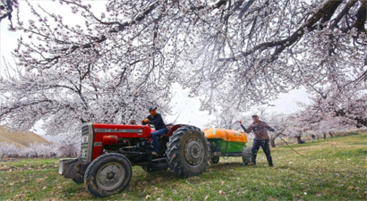 Bitki Karantinası Tazminat Destekleri Belirlendi!