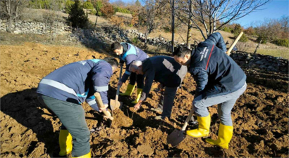 Kütahya`da Ceviz Yetiştiriciliğinde Çığır Açan Proje