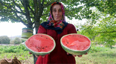 Alternatif Ürün Yetiştiriciliği Projesi Kapsamında Kocaeli`de Çiftçilere Karpuz Tohumu Desteği