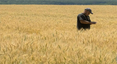 Karadeniz Liman Hasarı, Ukrayna Tahıl İhracatını Ciddi Şekilde Etkiliyor: Üretimde ve İhracatta Gerileme Bekleniyor
