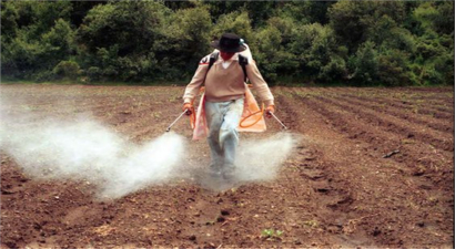 Glifosata Veda Zamanı: Bayer`in Yeni Herbisiti Pazarda Yerini Alacak