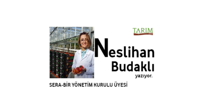 Kadın İstihdamı