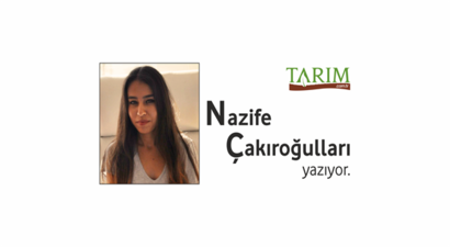 YALANCI ÇİLEK