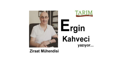Merekteki Saman!