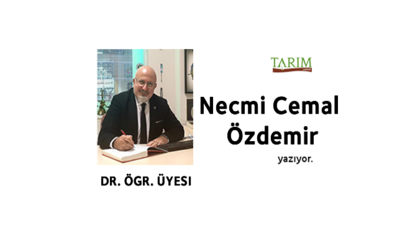 Yeni İskenderun Stadımız Beyaz Fil`mi Olacak?