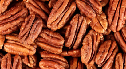 Tropik Meyve Üretiminin Türkiye`deki Adresi