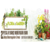 Flora Garden Peyzaj ve Bahçe Mobilyaları Fuarı-2017