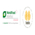 Worldfood İstanbul-2020