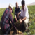 Aksaray`da Patates Tarlaları Kontrol Ediliyor