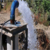 Hatay`da Dörtyol ve Erzin`de Çiftçilere Destek
