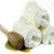 YÖREX`e Birleşmiş Milletler`den destek