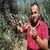 Manavgat`ta Zeytin Yetiştiriciliğinin 2 Katına Çıkarılması Hedefleniyor