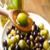 `Sarı Ulak` Zeytin Çeşidine Koruma Çalışması