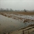 Sakarya`da Sağanak Yağış