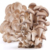 Yenice`de Çiftçilere Mantar Tohumu Dağıtıldı