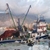 Av yasağı başladı