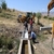 Tunceli İl Özel İdaresinden Hayvancılığa Destek