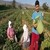 Tarım İşçilerinin Bayramı Yok