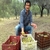 Kırkağaç`ta Zeytin Hasadı Başladı