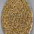 Tritordeum Tahılı Türkiye`de