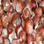 `Fındığı Bu Fiyata Satmayın` Uyarısı