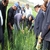 Adıyaman`da Süne İle Mücadele Başladı