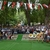 Mut Kayısı Festivaline Hazır