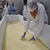 İtalyanlara Taş Çıkartacak Sivas Mozzarella`sı Dünyaya Açıldı