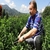 Doğu Karadeniz`de Yeni Bir Tarım Ürünü: `Rize Şekeri`