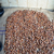 Yılın İlk Fındığı Tüccara İndi