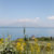 Van Gölü Sınavdan Geçti