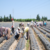 Tarımda İstihdam 5 Milyonu Aştı