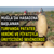 Muğla`da Hasadına Başlanan Turfanda Patates Verimi Ve Fiyatıyla Üreticisini Sevindirdi