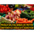 Muğla`da Yaş Sebze ve Meyve Üretimiyle İhracatı Sürüyor