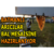 Batmanlı Arıcılar Bal Mesaisine Hazırlanıyor