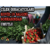 Çilek İhracatçıları Kovid-19 Salgını Sonrasından Umutlu