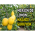 Mersin`de Limon Hasadı Sürüyor