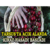 Tarsus`ta Açık Alanda Kiraz Hasadı Başladı