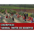 Çukurova`da Tarımsal Üretim Hız Kesmiyor