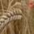 DESTEKLER BUGÜN HESAPLARA YATACAK!