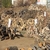 BAKANLIKTAN DEPREMZEDELERE 24 BİN 455 TON YAKACAK ODUN
