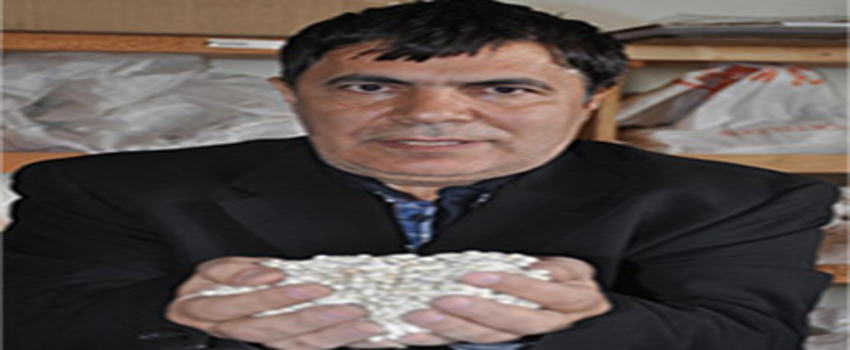 Samsun`da Kuraklığa Dayanıklı Fasulye Geliştiriliyor