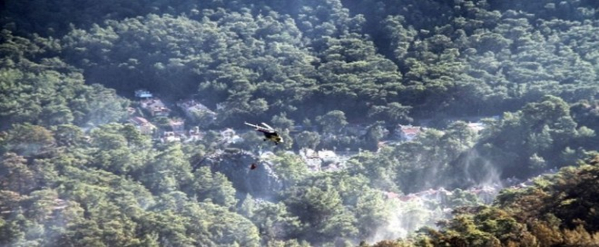Marmaris`te 44 Hektar Alan Yandı