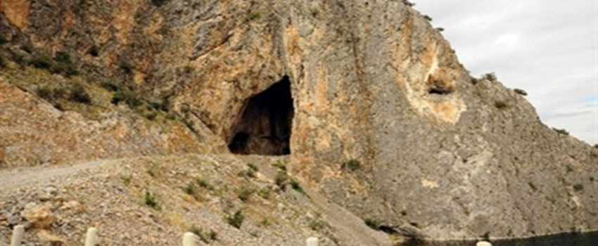 Balıkesir`de Yarasalar da Çiftçiler de Mutlu