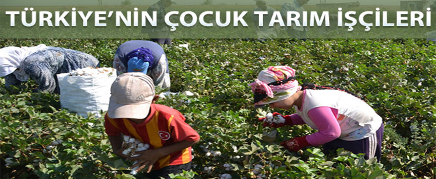 Türkiye`nin Utanç Kaynağı Çocuk İşçiler