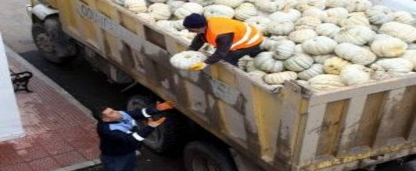 Belediye Aşevi`ne 14 Ton Balkabağı Bağışladı