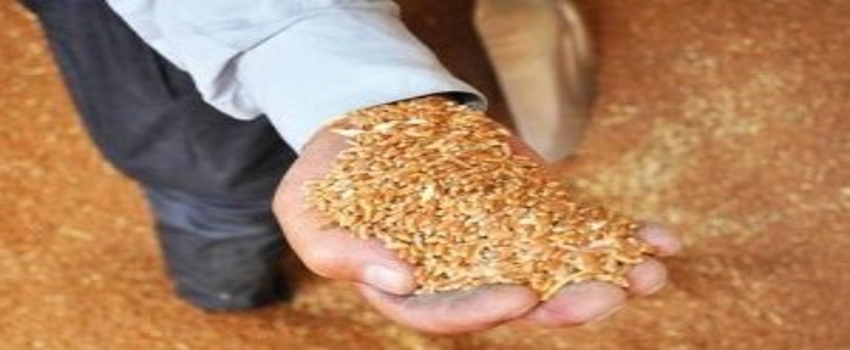 ÇKS Başvuru Süresinin Uzatılması Talebi