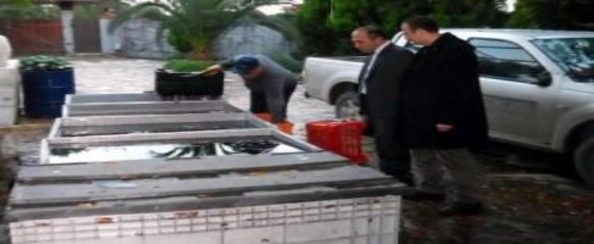 Darıca`da 12 Bin 700 Şişe Kaçak Şarap İmha Edildi