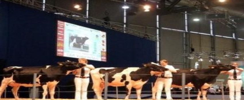 Fuarda İlk Kez Canlı Hayvan Holü Olacak