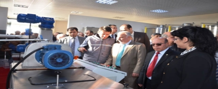 Harran, Kaliteli Zeytinyağı Üretmeyi Hedefliyor